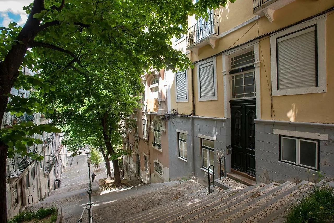 Apartment Liverpool Tree Lisbon